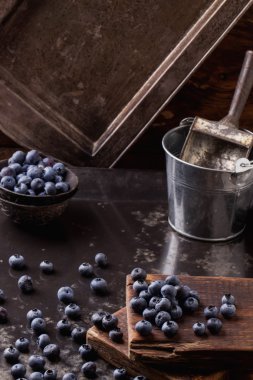 Yaban mersini siyah metal zemin üzerine