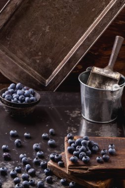 Yaban mersini siyah metal zemin üzerine