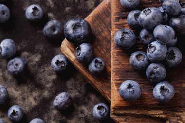 Yaban mersini siyah metal zemin üzerine