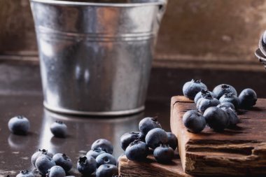 Yaban mersini siyah metal zemin üzerine