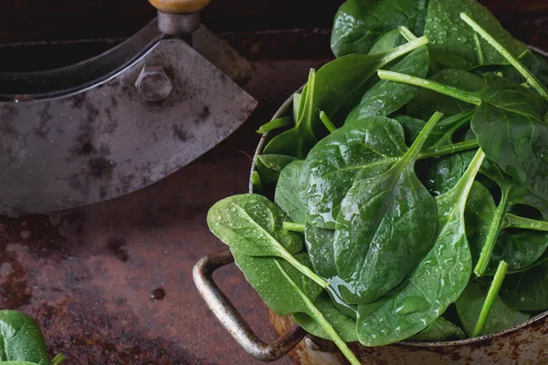 Fresh spinach dark rustic style — Stock Photo, Image