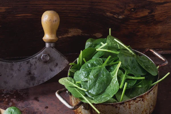 Färsk spenat mörk rustik stil — Stockfoto