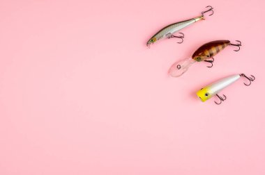 Pembe renkli arka planda levrek balıkçılığı kavramı. Düz yatış stili. Balıkçılık takımları, yumuşak silikon yemler, balık yemi ve yalpalayıcılar.. 