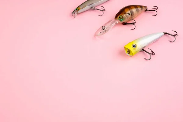 Концепция Рыбалки Розовом Модном Фоне Плоский Стиль Рыболовные Снасти Мягкие — стоковое фото