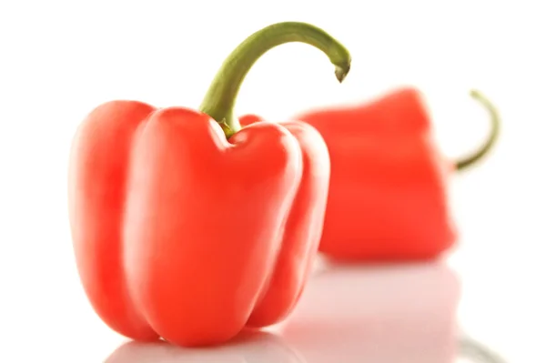 Isolated bell pepper paprika — Stock Photo, Image