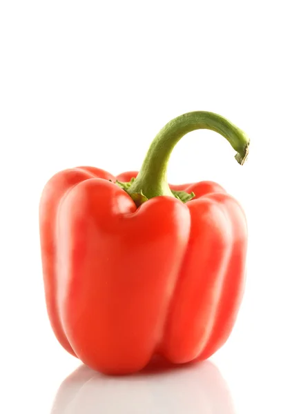 Isolated bell pepper paprika — Stock Photo, Image