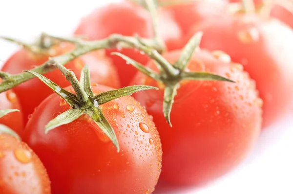Closeup Ripe Fresh Cherry Tomatos — Stock Photo, Image
