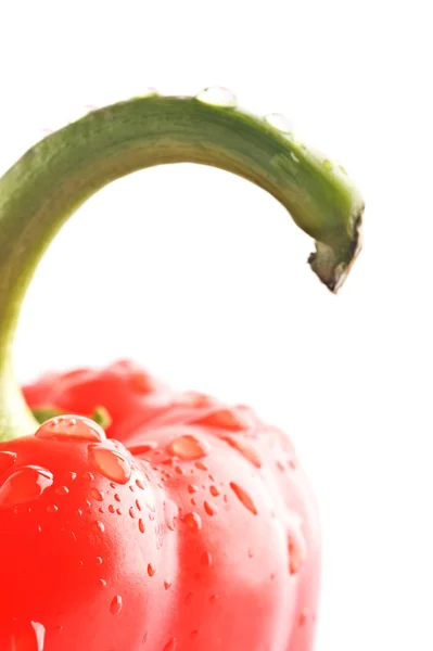 Closeup Isolated Bell Pepper On White Background — Stock Photo, Image
