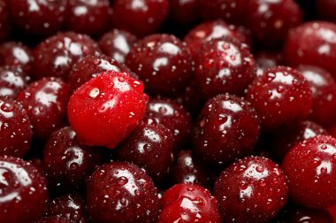 Arka plan su damlaları ile taze kiraz