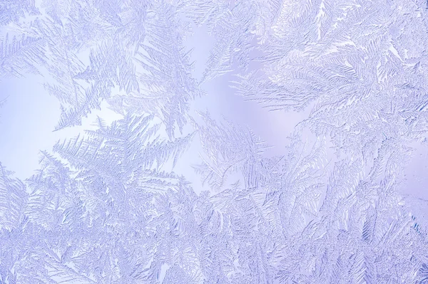 Fundo colorido bonito do inverno do close-up com padrões gelados da geada — Fotografia de Stock