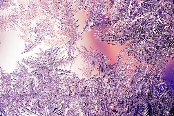 Beautiful Closeup Winter Colorful Background With Icy Frost Patterns — Stock Photo, Image