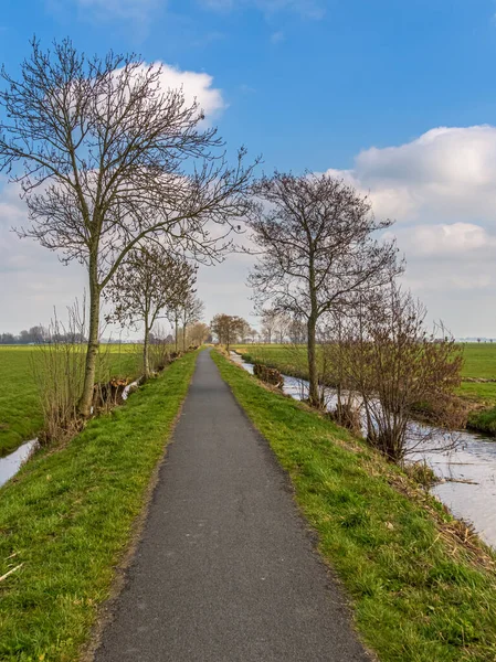 Mavi gökyüzü ile Hollanda polen manzarasında boş bir yol