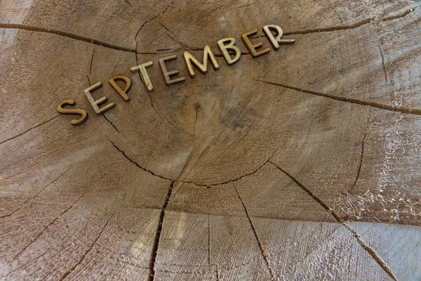 Eylül 'de eski bir ağaç gövdesinde ahşap harflerle