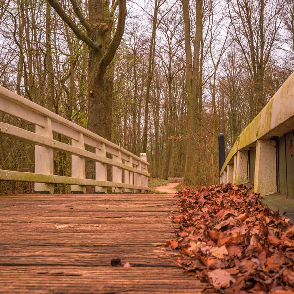 秋天的木桥 — 图库照片
