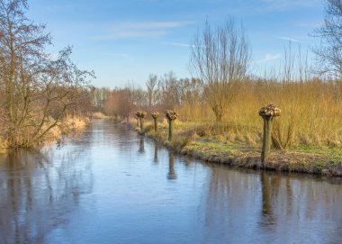 Kış manzarasında donmuş göl. Hollanda, Nieuwkoopse Plassen 'de güzel, sakin bir kış sabahı. Yandaki ağaçların buzullarında yansıması olan mavi gökyüzü. 