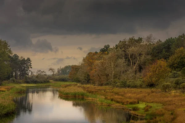 Herbstlicher Waldsee Den Wasserdünen Von Amsterdam Mit Dunklen Wolken — Stockfoto
