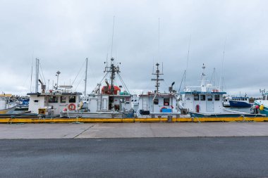 Cap-aux-Meules, Quebec, Kanada - 30 Ağustos 2020: Magdalen Adalarındaki Cap-aux-Meules limanında balıkçı tekneleri (Iles-de-la-Madeleine).