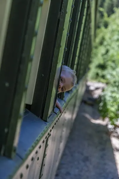 Trenin penceresinden dışarı bakan küçük bir çocuk.