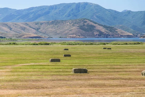 Göl ve güneşli bir günde Baled Dağı saman tarlası