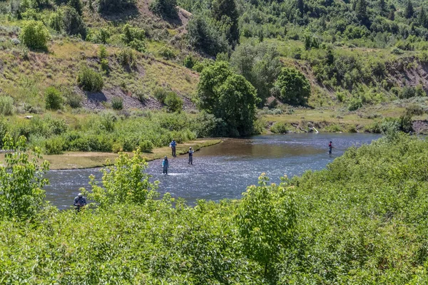Nehir kıvrımında uçan beş balıkçı. Yüksek kalite fotoğraf