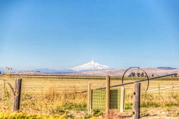 Tekerlek çizgileri olan bir tarladan dağ manzarası