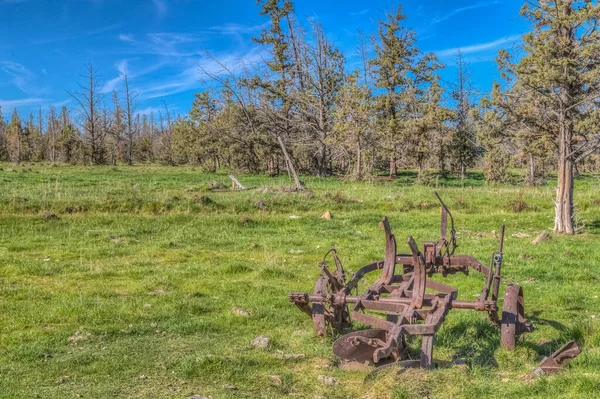 Yeşil bir tarlada eski, paslı bir saban