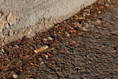 Cigarette butt tossed on side of road
