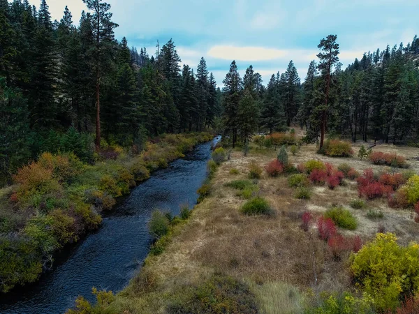 Sonbaharda bir nehrin havadan görüntüsü