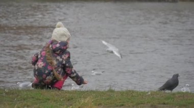 Çocuk eğildi üzerine bir su gıda beslenme kuşlar ağır çekim çocuk onun diz oynarken ile kuşlar martılar güvercinleri kuşlar uçuyor üzerinde oturuyor veriyor