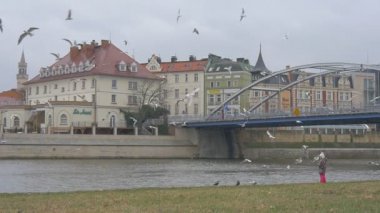 Çocuk duran eski şehir kuşlar vardır uçan ağır çekim köprü Vintage binalar küçük kız nehir kıyısında bir kuşlar martılar güvercinler uçuyor besleniyor