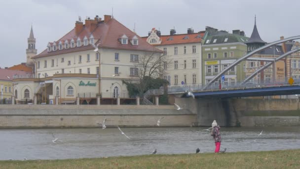 Dzieciak stoi na brzegu rzeki stare miasto ptaki są pływające most Vintage budynków dziewczynka jest karmienie ptaków mewy gołębie są pływające wokół — Wideo stockowe