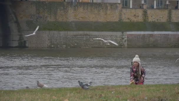 Kid is Sitting Holding a Bread Walking Foreward and Puts the Bread to a Ground Slow Motion Little Girl is Feeding a Birds Seagulls Pigeons Are Flyingr — Stock Video