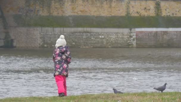 Kind wirft ein Stück Brot ins Wasser schwankend mit der Hand Möwen fliegen schnell kleines Mädchen füttert einen Vogel Tauben laufen am Fluss — Stockvideo