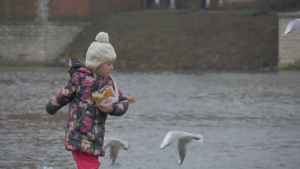 Garoto pula e lança pedaços de pão para aves Slow Motion gaivotas estão voando em torno de pequena está alimentando um pássaros pombos de gaivotas na margem do Rio — Vídeo de Stock