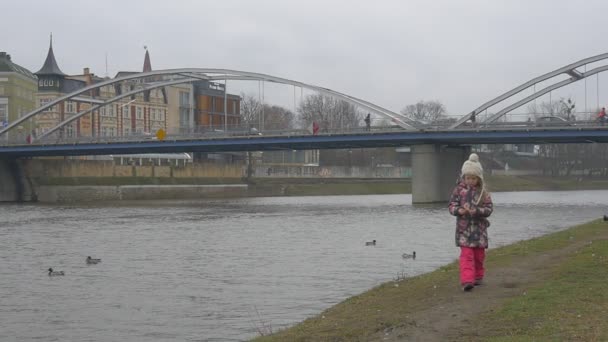 Gyerek a Walking Away From egy folyó lassított repülő madarak híd keresztül folyó régi épületek kis lány van etetés a madarak sirályok galambok szállnak — Stock videók