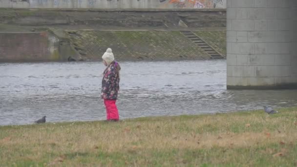 Kid är promenader spelar med fåglar sitter ner duvor vandrar av grönt gräs på floden Little blond tjej med lång fläta är promenader på flodstranden — Stockvideo