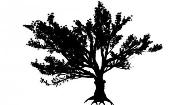 Lübnan sedir Cedrus sediri herdem yeşil iğne yapraklı ağaç siluet, animasyon Swaying Rüzgar dalları vardır şaşırtıcı yaprakları vardır çırpınan, ağaçtır
