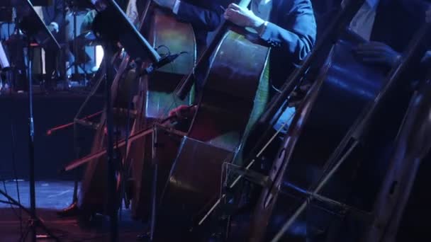 더블 베이스 섹션의 라인은 재생 동기적으로 음악가 문자열 악기와 활의 위대한 조회 수 록 심포니에 의해에 놀고 있다 — 비디오