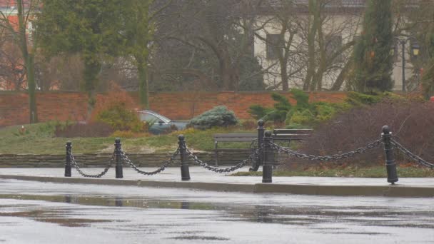 Park vintergröna träd i gränden Brack dekorativa staket med kedja regn är falla staden Street våta vägen hösten vintern pölar på en asfalt stadsbilden — Stockvideo