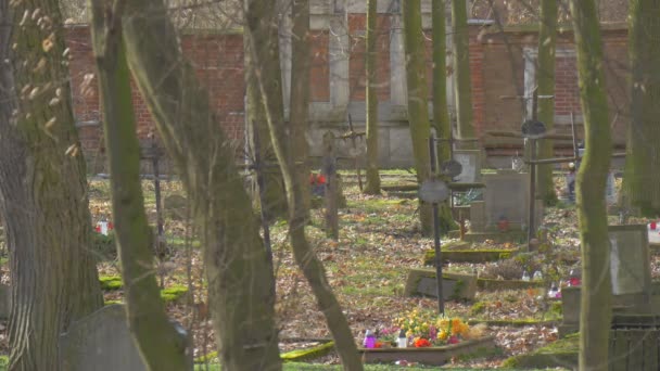 Flores artificiales en las cruces Tumbas antiguas Cementerio Memorial Velas Lugar de enterramiento entre los árboles Las ramas se balancean al viento Soleadas piedras de la tumba cristiana — Vídeo de stock