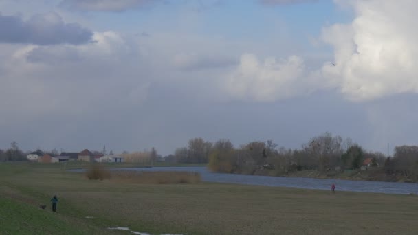 Mujer está caminando con un hombre pequeño perro negro caminando en el río por Green Meadow Propietario de un perro en chaqueta azul Casas Invierno suave Cumulus Gray Sky — Vídeos de Stock