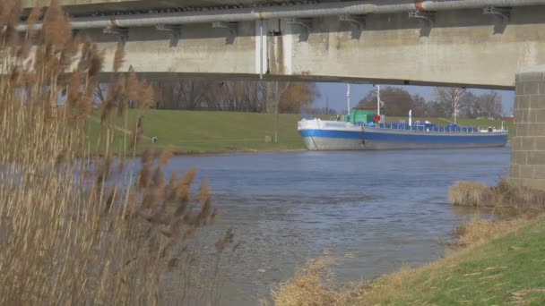 Blue Ship is Parked a the River Bank Concrete Bridge on a Supports Rippling Water Dry Reed is Swaying at the Wind Bare Branches Trees Sunny Day Stock Footage