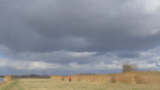 L'homme court loin par champ sec Les nuages orageux sont sur le terrain Illuminé par le soleil Herbe sèche Roue tiges Automne Homme en veste sportive rouge à l'extérieur — Video