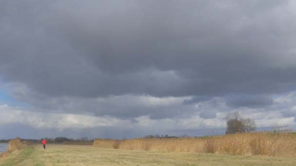 Hombre corriendo hacia la cámara por el campo seco nubes de trueno están sobre el campo seco hierba rueda tallos otoño hombre en rojo chaqueta deportiva al aire libre — Vídeo de stock