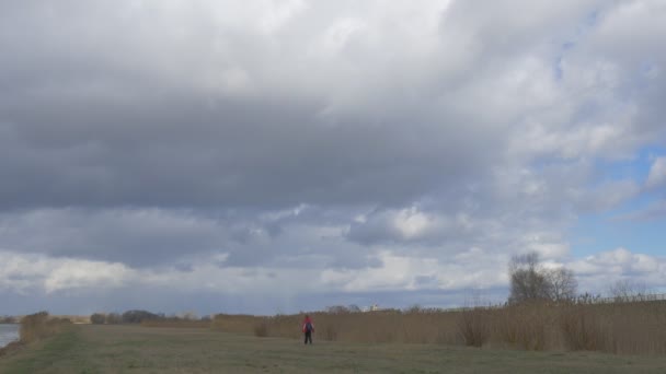 Turist är gångavstånd bort av torr fältet Thunderclouds är på fältet torrt gräs Wheet stjälkar hösten Höstmannen i röd sportig jacka utomhus — Stockvideo