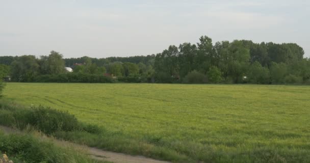宁静的乡村景观，符合绿色草地上行人路，在地平线上，与偶尔经过的鸟在树后的屋顶 — 图库视频影像
