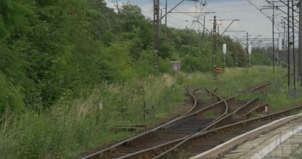 Vista lateral Intersecção ferroviária Interruptor ferroviário — Vídeo de Stock