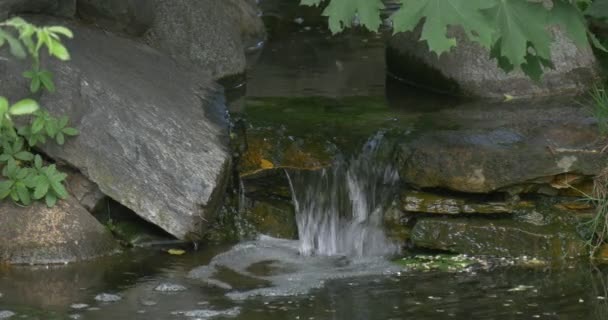 在岩石间流淌的小溪，坠落水沸腾 — 图库视频影像