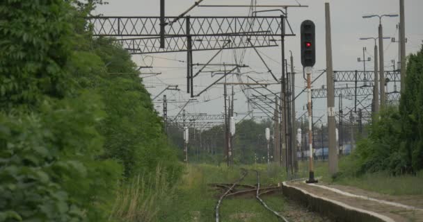 Lichtzeichenanlage auf mittlerer Strecke — Stockvideo