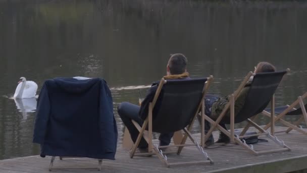 Hombre y mujer están sentados en una orilla del río en una silla de escritorio el cisne blanco nada cerca Descanso cerca del estanque Opole Polonia Hora de la noche al aire libre — Vídeo de stock